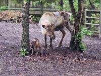 Zoo Basel